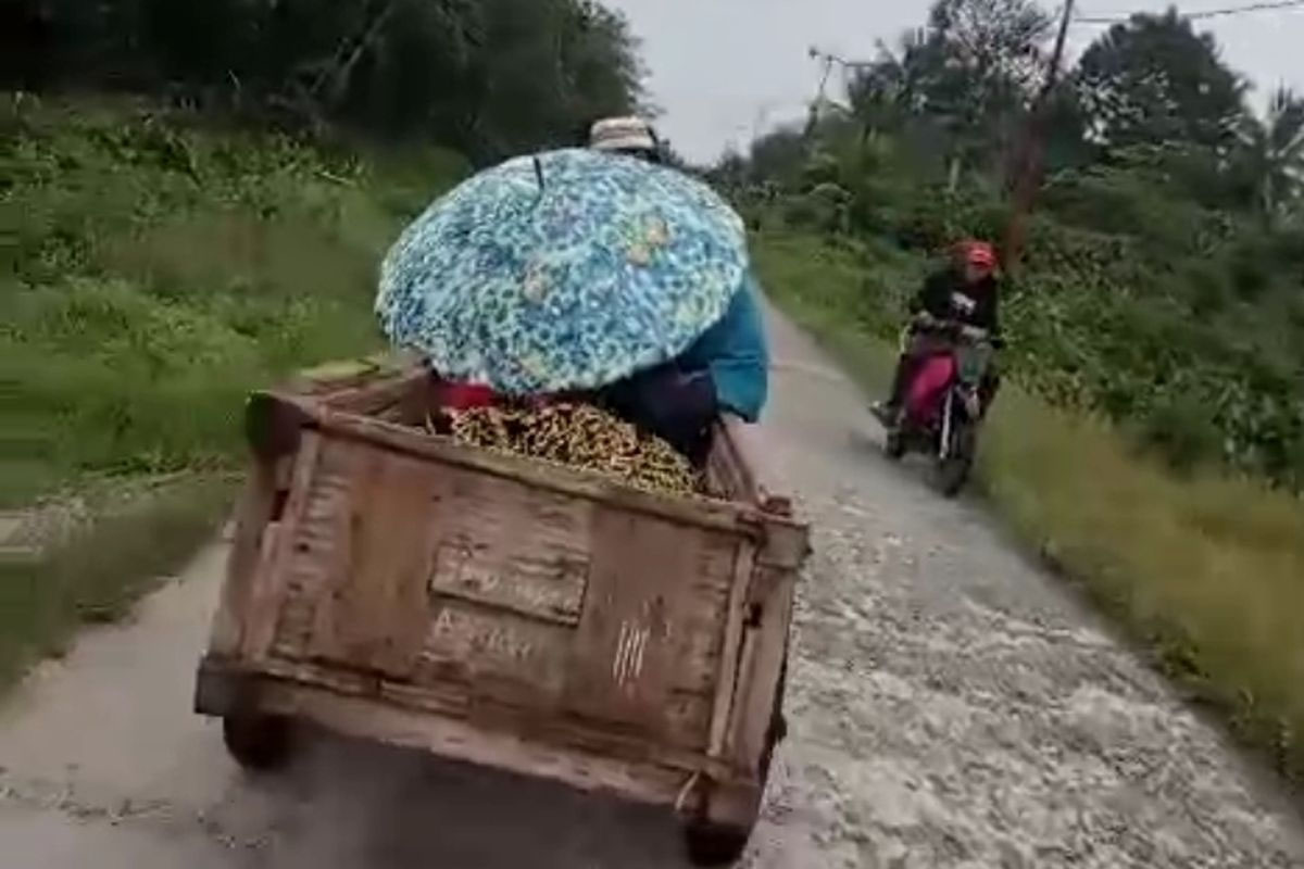 Viral di Meranti Anak Bawa Jenazah Ayah Pakai Gerobak, Kuburan Penuh Air