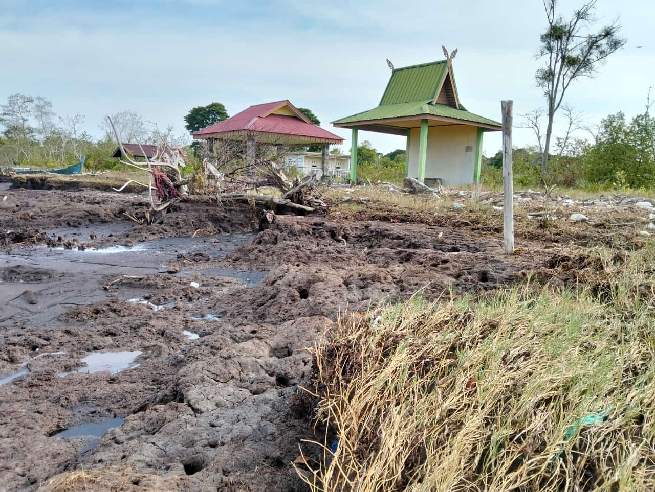 Abrasi Pantai Senekip Capai 200 Meter